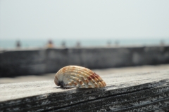 Fotoreise durch Italien