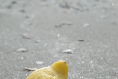 Fotoreise durch Italien