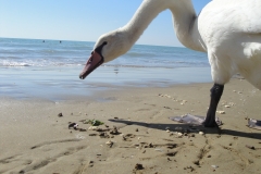 Fotoreise durch Italien