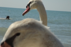 Fotoreise durch Italien
