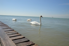 Fotoreise durch Italien