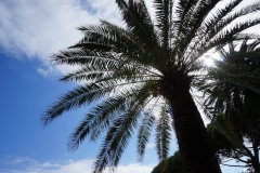 Fotoreise durch Italien