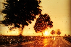 Wetterkapriolen