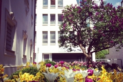 Citystyle