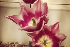 Blumengrüße