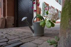 Heidelberger Blumengruß