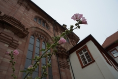 Blumengrüße