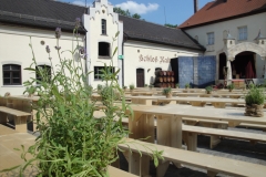 Lavendel in Kaltenberg