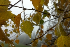 Winterlaub
