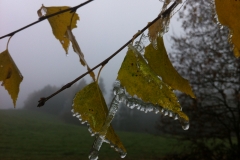 Winterlaub