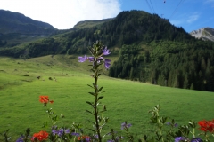 Grüße aus den Schweizer Bergen