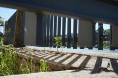 Grün in der Stadt
