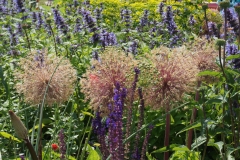 Blumengrüße