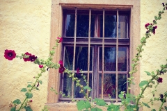Blumengrüße