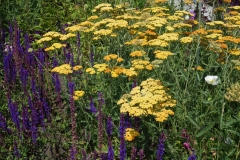 Blumengrüße