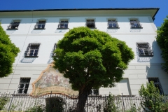 Grün in der Stadt
