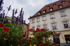 Blumengrüße - Stadtplatz Straubing