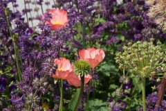 Blumengrüße