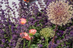 Blumengrüße
