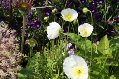 Blumengrüße