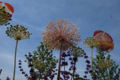 Blumengrüße