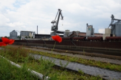 Am Hafen