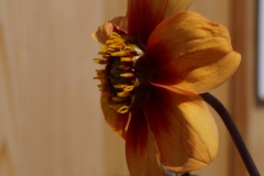 Blumengrüße