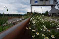 Am Hafen