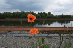 Am Hafen