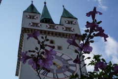 Blumengrüße