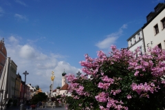 Blumengrüße - Stadtplatz Straubing