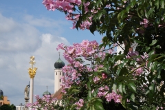 Blumengrüße - Stadtplatz Straubing