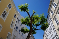 In der Stadt