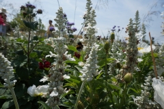 Blumengrüße