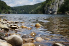 An der Donau