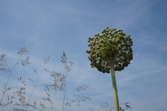 Hoch hinaus