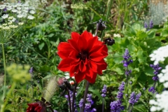 Blumengrüße