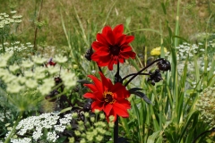 Blumengrüße