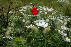 Blumengrüße