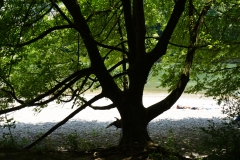 Am Wasser