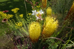 Blumengrüße
