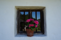 Blumengrüße