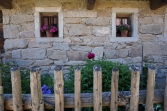 Blumengrüße