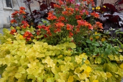 Blumengrüße