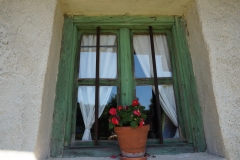 Blumengrüße