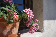 Blumengrüße