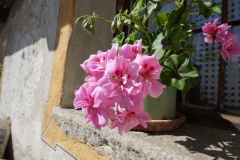 Blumengrüße