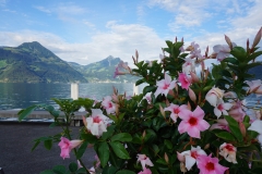 Blumengrüße