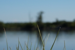 An der Donau