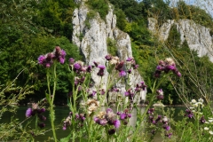Blumengrüße